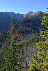 Polskie Tatry Albin Marciniak