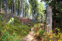 Polskie Tatry Albin Marciniak