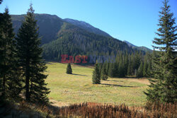 Polskie Tatry Albin Marciniak