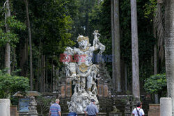 Rezerwat makaków na Bali