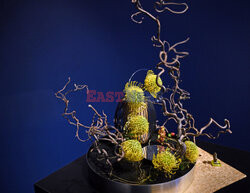 Bonsai i Ikebana - wystawa na 30-lecie Muzeum Manggha w Krakowie