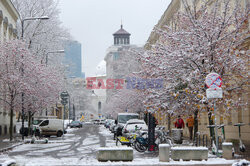 Warszawa Marek Bazak