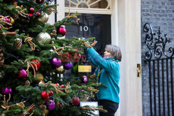 Choinka przy Downing Street 10