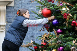 Choinka przy Downing Street 10