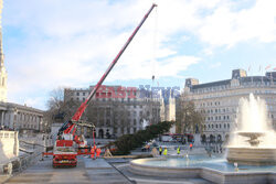 Na Trafalgar Square stanęła choinka