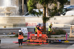 Na Trafalgar Square stanęła choinka