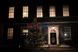 Choinka przy Downing Street 10