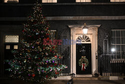 Choinka przy Downing Street 10