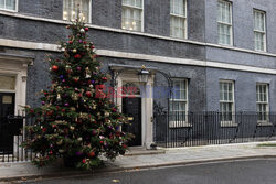 Choinka przy Downing Street 10