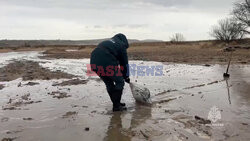 Skażone Morze Czarne po katastrofie rosyjskich tankowców