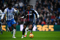 Brighton & Hove Albion FC v Crystal Palace FC - Premier League