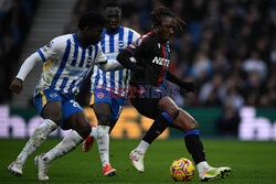 Brighton & Hove Albion FC v Crystal Palace FC - Premier League