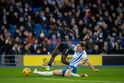 Brighton & Hove Albion FC v Crystal Palace FC - Premier League