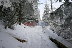 Polskie Tatry Albin Marciniak