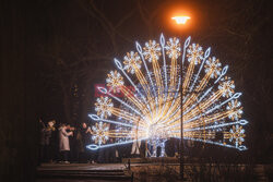 Iluminacje Świąteczne w Parku Oliwskim