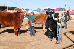 Pokaz zwierząt gospodarskich National Livestock Show