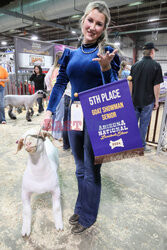 Pokaz zwierząt gospodarskich National Livestock Show