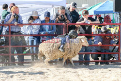 Pokaz zwierząt gospodarskich National Livestock Show