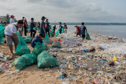 Akcja sprzątania plaży na Bali