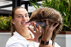 Jannik Sinner i Aryna Sabalenka poznają zwierzęta Australii