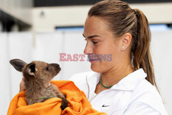 Jannik Sinner i Aryna Sabalenka poznają zwierzęta Australii