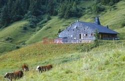 Chalet w Alpach francuskich -Indoor Architecture