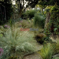 Ogród w Londynie z nowozenladzkimi roślinami -Andreas Von Einsiedel