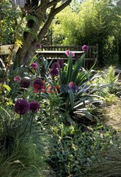 Ogród w Londynie z nowozenladzkimi roślinami -Andreas Von Einsiedel