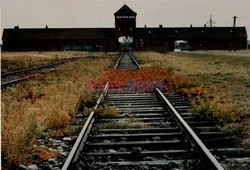 Auschwitz-Birkenau WMZ