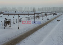 Auschwitz-Birkenau WMZ