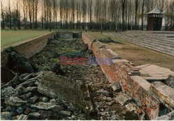 Auschwitz-Birkenau WMZ