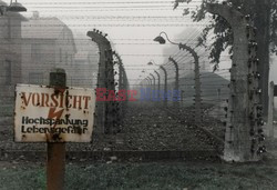 Auschwitz-Birkenau WMZ