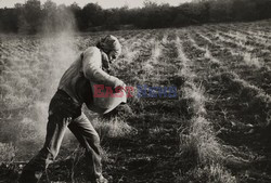 Fotografie Jean Mounicqo - Roger Viollet