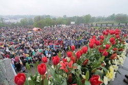 Uroczystości w Polsce 