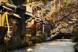 Kyoto, Japonia  - Le Figaro