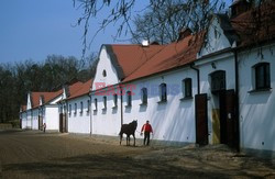 MAZOWSZE AdLa