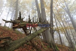 PIENINSKI PARK NARODOWY AdLa