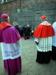 70 rocznica smierci św. Ojca Maksymiliana Kolbe