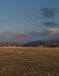 Namibia - piaski czasu - House and Leisure