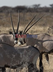 Namibia - piaski czasu - House and Leisure