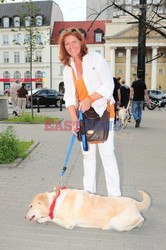 Parada Labradorów w Warszawie