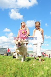 Parada Labradorów w Warszawie