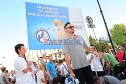 Parada Labradorów w Warszawie