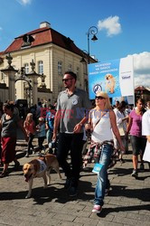 Parada Labradorów w Warszawie