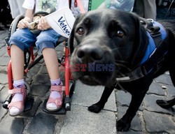 Parada Labradorów w Warszawie