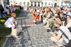 Parada Labradorów w Warszawie