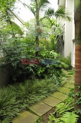 Jungle nook - House and Leisure