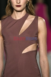 Cushnie et Ochs details