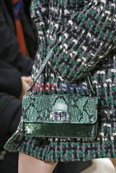 Miu Miu details