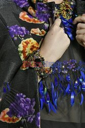 Anna Sui details